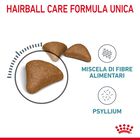 Royal Canin Hairball Care Adult Cat 10 kg