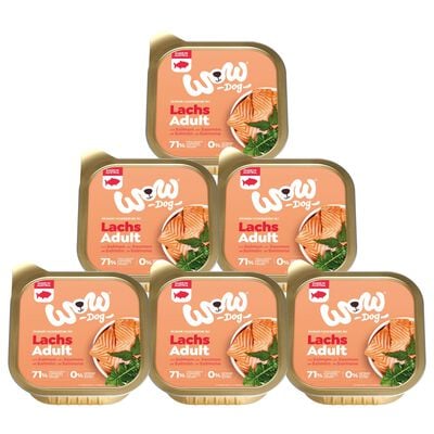 Wow Dog Adult Salmone con Dente di Leone e Ortica 150 gr