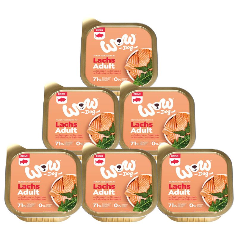 Wow Dog Adult Salmone con Dente di Leone e Ortica 150 gr