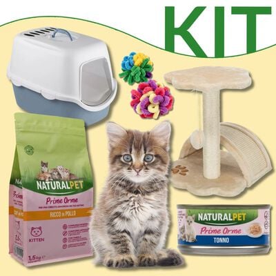 Starter Kit per il tuo gattino