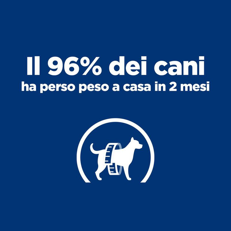 Hill's Prescription Diet Dog Metabolic Spezzatino Pollo e Verdure 354 gr