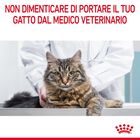 Royal Canin Cat Adult Dental Care 400 gr