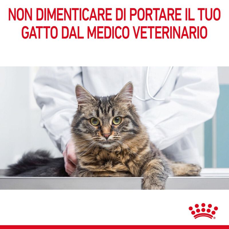 Royal Canin Cat Adult Dental Care 400 gr