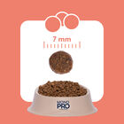 Monopro Cat Adult Salmone 350gr