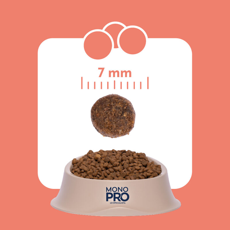 Monopro Cat Adult Salmone 350gr