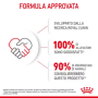 Royal Canin Cat Kitten 400 gr