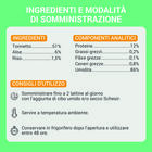 Schesir Cat Tonnetto con Aloe in Gelatina 70g