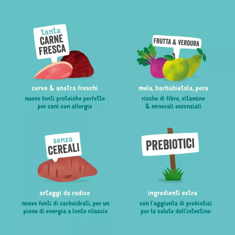 Edgard & Cooper Dog Adult Large Breed Cervo e Anatra 12 kg