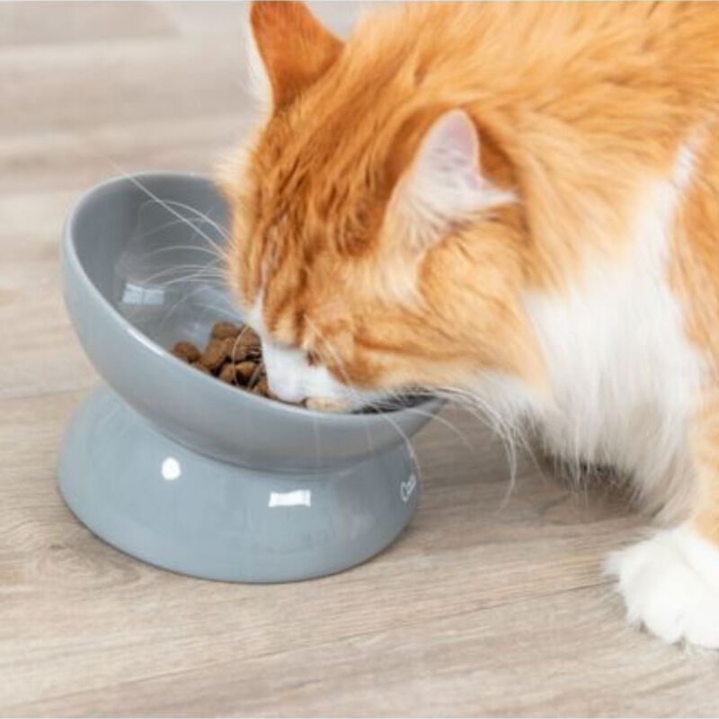 Trixie Ciotola per Gatto Tg XXL