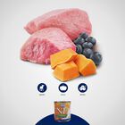 Farmina N&D Pumpkin Dog Puppy Mini Agnello e Mirtillo 140 gr