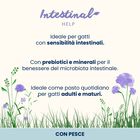 Almo Nature Intestinal Help Cat adult Pollame 70 gr Almo Nature Intestinal Help Cat adult Pollame 70 gr