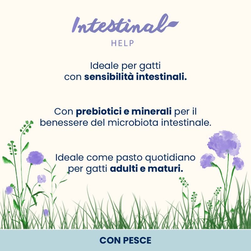 Almo Nature Intestinal Help Cat adult Pollame 70 gr Almo Nature Intestinal Help Cat adult Pollame 70 gr