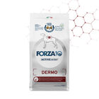 Forza10 Active Vet Diet Dog Adult Dermo 4 kg image number 0