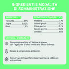 Schesir Cat Jelly Tonnetto con Alghe 70g Schesir Cat Jelly Tonnetto con Alghe 70g