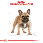 Royal Canin Dog Adult Bulldog francese 3 kg