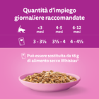 Whiskas Cat Junior Selezione Gustosa in salsa 4x85gr
