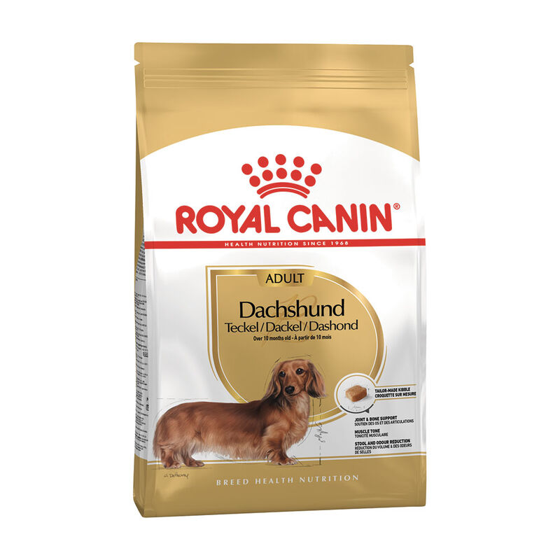 Royal Canin Dog Adult e Senior Bassotto 1,5 kg