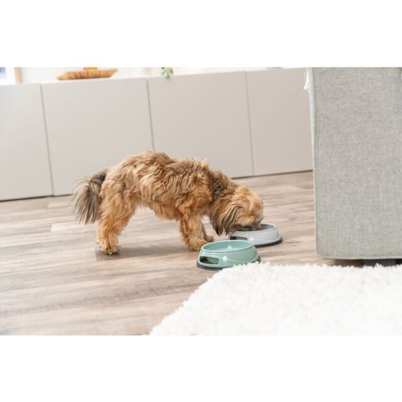 Trixie Ciotola in plastica per cani 750 ml
