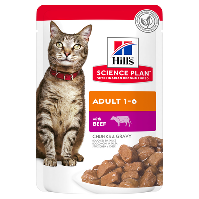 Hill's Science Plan Cat Adult con Manzo Bustina 85 gr.