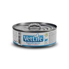 Farmina Vet Life Cat Adult Hypoallergenic Maiale e Patate 85 gr