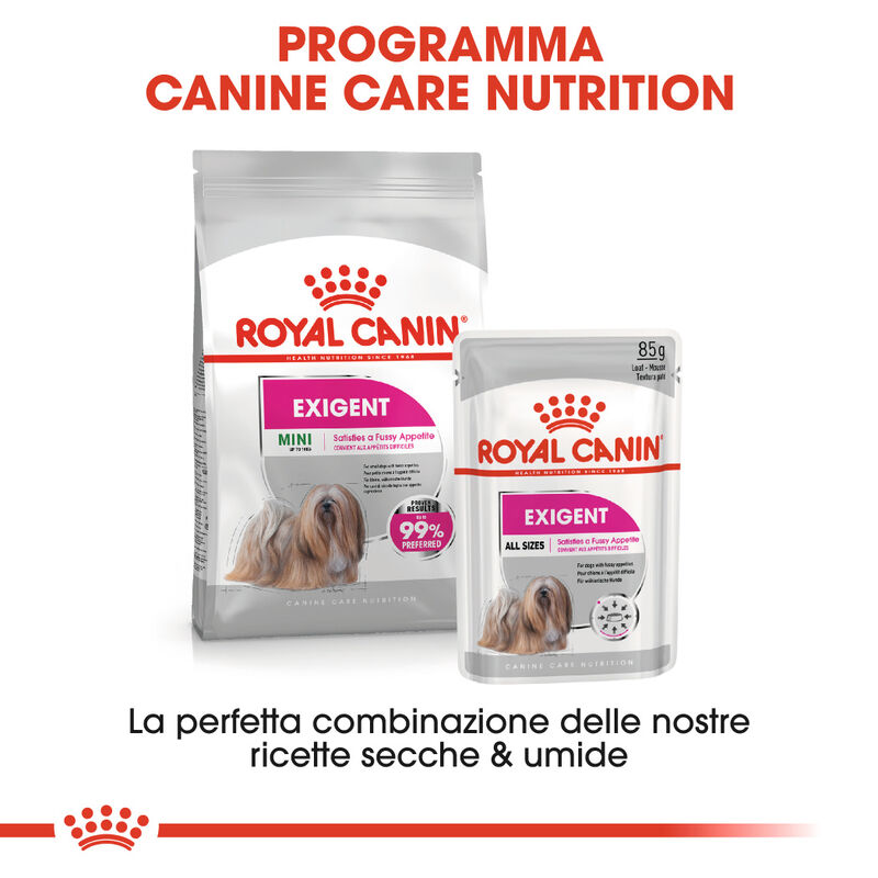 Royal Canin Dog Mini Adult e Senior Exigent 1 kg