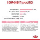 Royal Canin Cat Kitten 2 kg