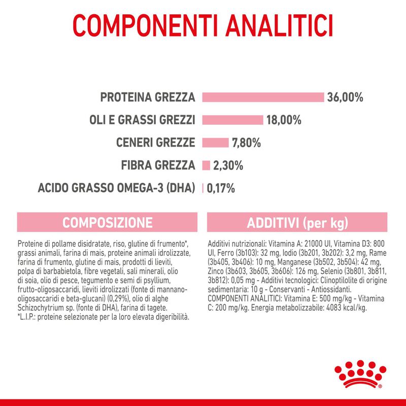 Royal Canin Cat Kitten 2 kg
