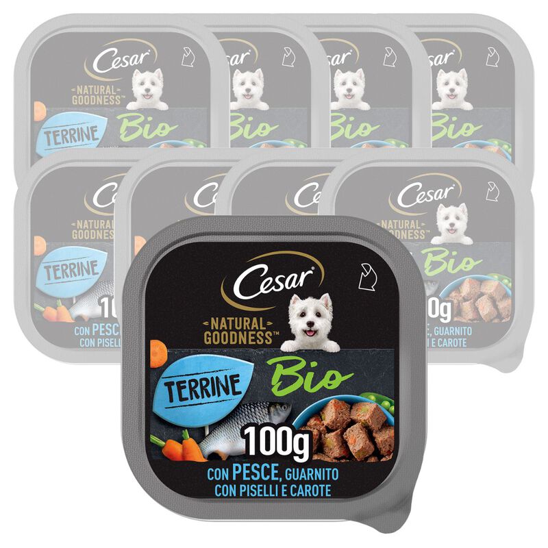 Cesar Dog Natural Goodness Bio Terrine con Pesce 100 gr