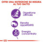 Royal Canin Cat Adult Sensible 33 2 kg