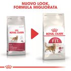 Royal Canin Cat Adult Fit 32 400 gr