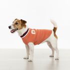 Camon Maglioncino per cani Chelsea tg. 36
