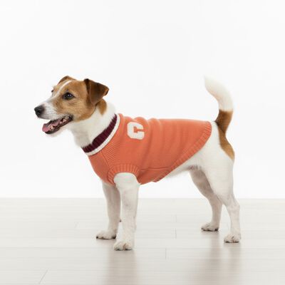 Camon Maglioncino per cani Chelsea tg. 36