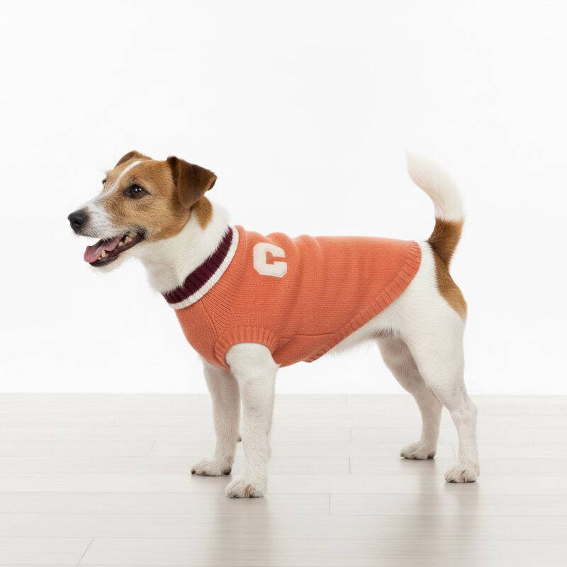 Camon Maglioncino per cani Chelsea tg. 36