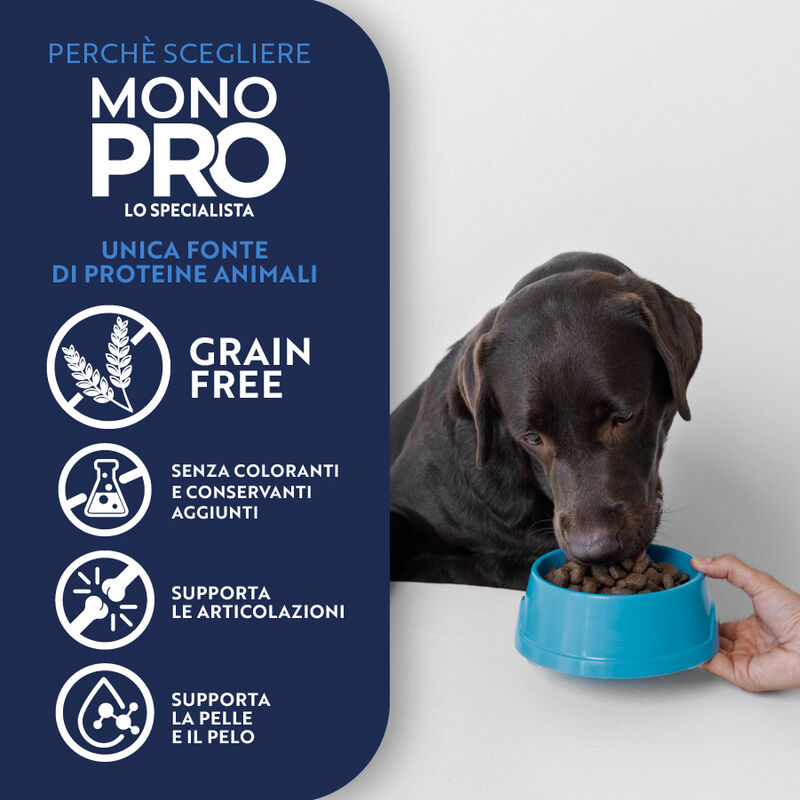Monopro Dog Adult Mini Grain Free Agnello 2 kg