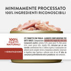 Schesir Cat Filetti di Tonnetto con Triglia in Gelatina 70g