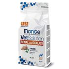 Monge VetSolution Dog Renal and Oxalate 2 kg