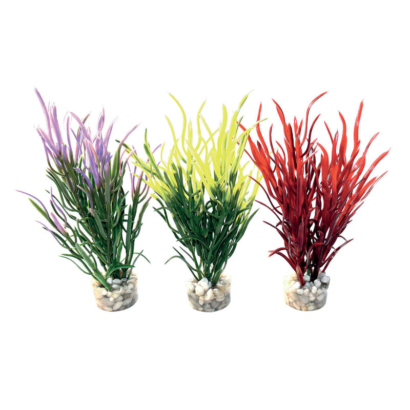 Sydeco Pianta decorativa Sea Grass 16 cm