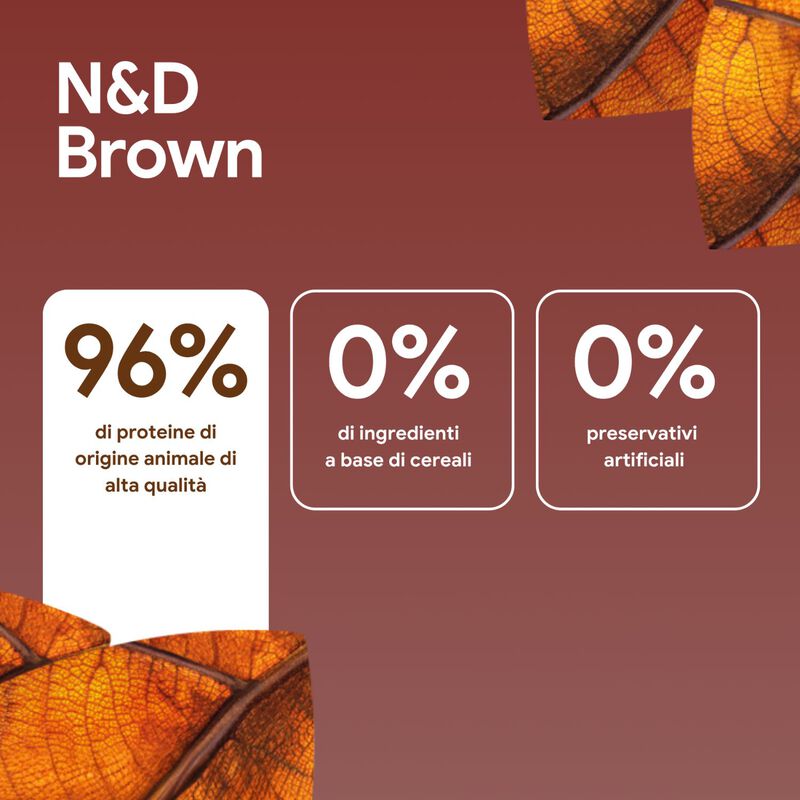N&D Farmina Brown Coat Dog Adult Mini Agnello, Carote & Spirulina 2 kg