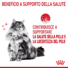 Royal Canin Cat Adult Hair and Skin Care 400 gr