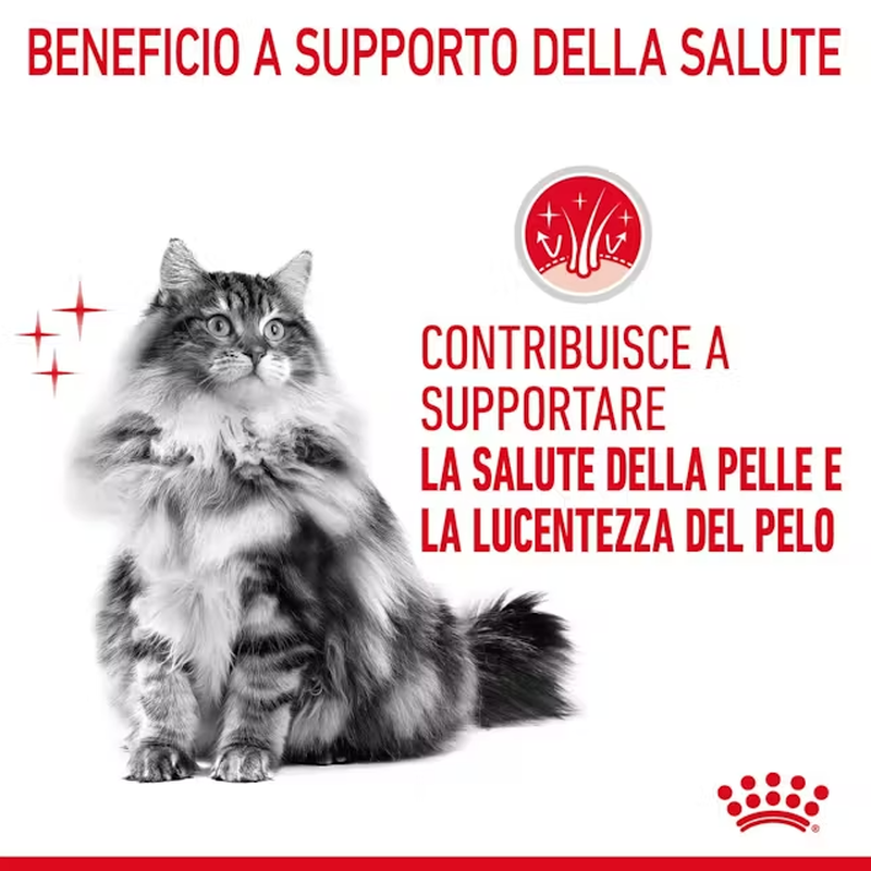 Royal Canin Cat Adult Hair and Skin Care 400 gr