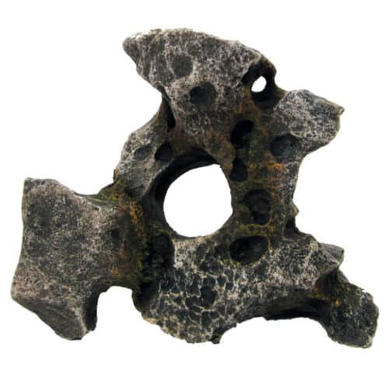 Amtra Roccia Gallura con Foro Grigia S