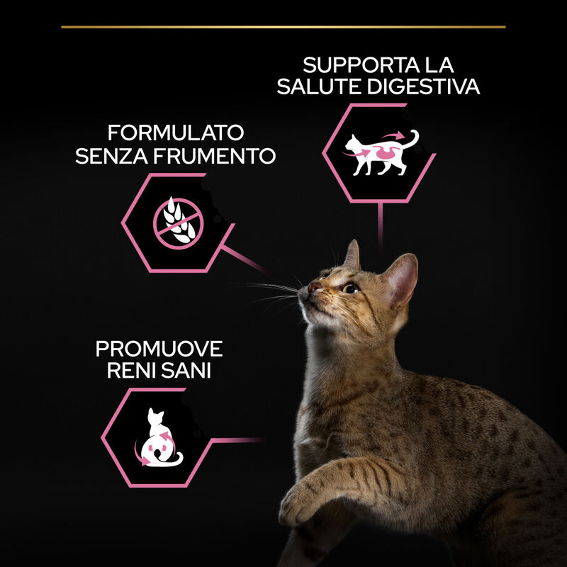 Purina Pro Plan Delicate Digestion Cat Adult 1+ Sterilised Pollo 400 gr
