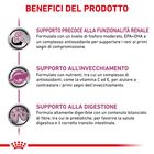 Royal Canin Veterinary Diet Cat Early Renal 12x85 gr