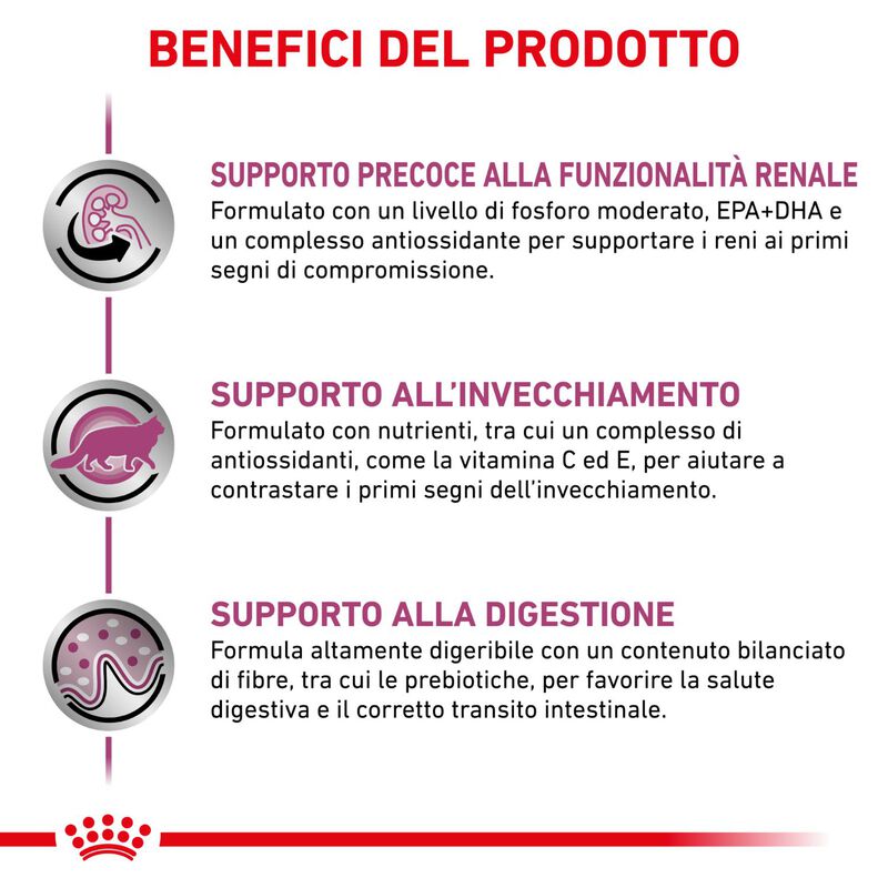 Royal Canin Veterinary Diet Cat Early Renal 12x85 gr