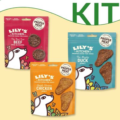 Kit Degustazione Lily's kitchen dog adult snack 70 gr