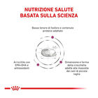 Royal Canin Veterinary Diet Dog Small Renal 500gr