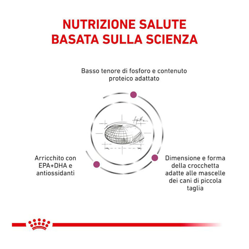 Royal Canin Veterinary Diet Dog Small Renal 500gr