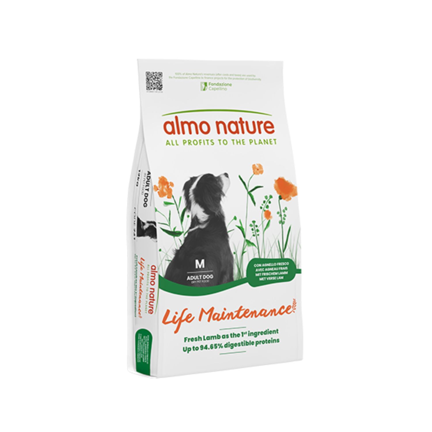Almo Nature Holistic Dog M con Agnello Fresco 12 kg|L'Isola dei Tesori