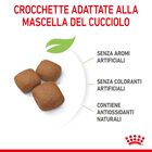 Royal Canin Dog Giant Junior 15 kg