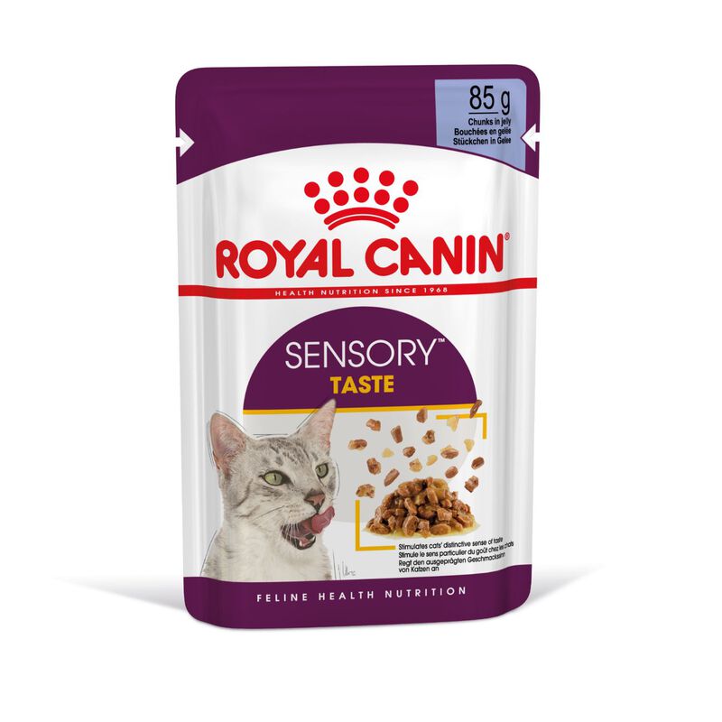 Royal Canin Cat Adult Sensory Taste Jelly 85 gr